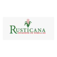 RUSTICANA